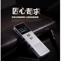 山水录音笔H--612  8G专业无损录音笔高清远距降噪智能声控录音