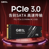 GEIL金邦P3L 2TB  PICE3.0 NVME固态硬盘