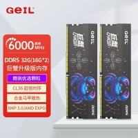 GEIL金邦16G×2 C36SEC 32G-6000MHz DDR5内存 电竞...
