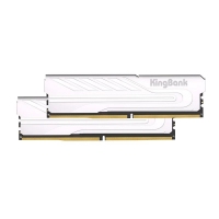 金百达 银爵 32G-6000套条（银海力士）M-C30 D5 内存条