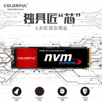 Colorful/七彩虹CN600 1T M.2台式机笔记本nvme固态硬盘